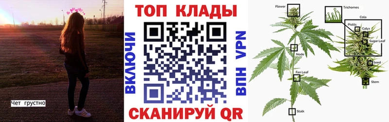 Где купить Балашов Бошки Шишки КОКАИН Гашиш Меф