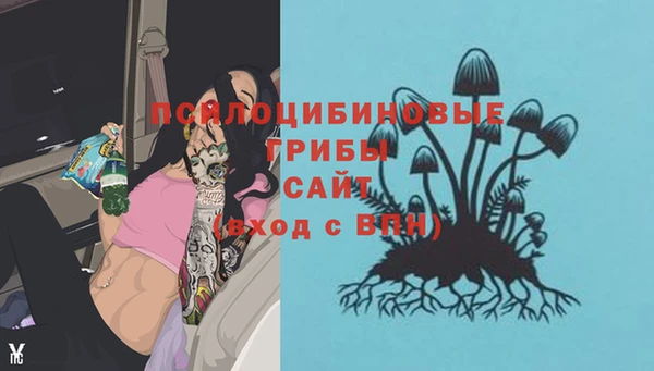 ECSTASY Алзамай