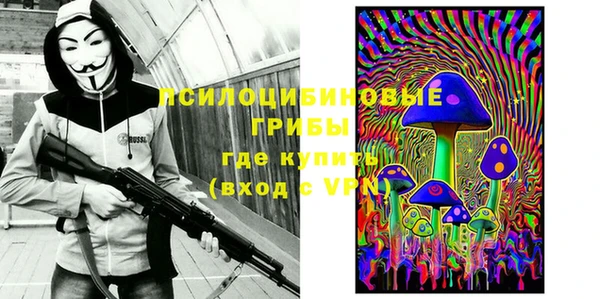 ECSTASY Алзамай