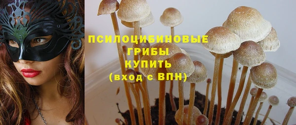 ECSTASY Алзамай
