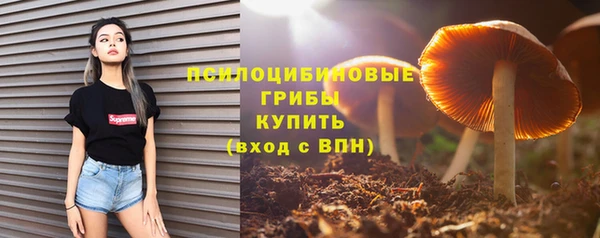 ECSTASY Алзамай